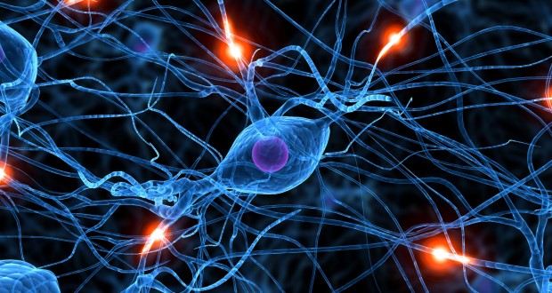 دانشمندان موفق به استخراج تصاویر از مغز انسان شدند